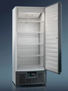 Купить Морозильный шкаф Ариада RAPSODY R 700 L